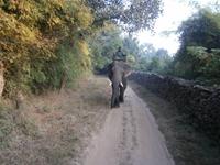 Eberhardt TRAVEL Reise durch Indien - Bandhavgarh Nationalpark &ndash; &copy; Mandy Lehmann (Eberhardt TRAVEL)