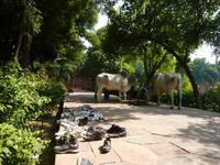 P1140175 &ndash; &copy; Cornelia Ritter (Eberhardt TRAVEL)