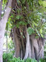 P1140424 &ndash; &copy; Cornelia Ritter (Eberhardt TRAVEL)