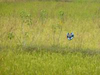 P1140476 &ndash; &copy; Cornelia Ritter (Eberhardt TRAVEL)