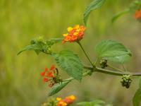 P1140480 &ndash; &copy; Cornelia Ritter (Eberhardt TRAVEL)