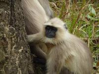 P1140533 &ndash; &copy; Cornelia Ritter (Eberhardt TRAVEL)
