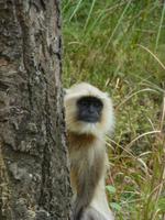P1140534 &ndash; &copy; Cornelia Ritter (Eberhardt TRAVEL)
