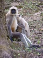 P1140604 &ndash; &copy; Cornelia Ritter (Eberhardt TRAVEL)