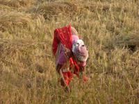P1140649 &ndash; &copy; Cornelia Ritter (Eberhardt TRAVEL)