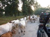 P1140691 &ndash; &copy; Cornelia Ritter (Eberhardt TRAVEL)