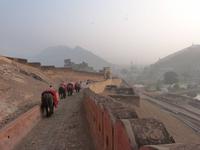Amber Fort (12) &ndash; &copy; Maria Michel (Eberhardt TRAVEL)
