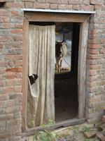 Dorfbesuch in Bandhavgarh (15) &ndash; &copy; Maria Michel (Eberhardt TRAVEL)