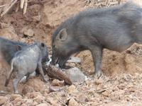 Dorfbesuch Kanha (12) &ndash; &copy; Maria Michel (Eberhardt TRAVEL)