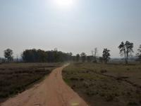 Kanha Nationalpark (2) &ndash; &copy; Maria Michel (Eberhardt TRAVEL)