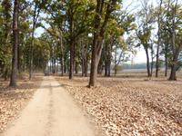 Kanha Nationalpark &ndash; &copy; Maria Michel (Eberhardt TRAVEL)