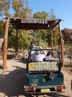 Safari Bandhavggarh (1) &ndash; &copy; Maria Michel (Eberhardt TRAVEL)