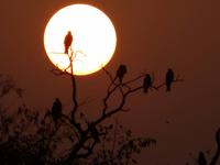 Sonnenuntergang &ndash; &copy; Maria Michel (Eberhardt TRAVEL)