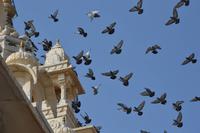 Jodhpur1 (2) &ndash; &copy; Hubert Lücker (Eberhardt TRAVEL)