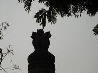 Ashoka-Säule von Dhauli &ndash; &copy; Michael Krause (Eberhardt TRAVEL)