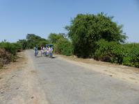 130. Baratpur -Keoladeo Nationalpark &ndash; &copy; Maria Michel (Eberhardt TRAVEL)