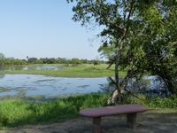 143. Baratpur -Keoladeo Nationalpark &ndash; &copy; Maria Michel (Eberhardt TRAVEL)
