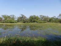 152. Baratpur -Keoladeo Nationalpark &ndash; &copy; Maria Michel (Eberhardt TRAVEL)
