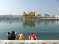 285. Amritsar - Goldener Tempel &ndash; &copy; Maria Michel (Eberhardt TRAVEL)