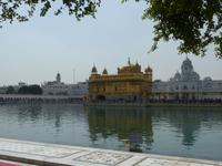304. Amritsar - Goldener Tempel &ndash; &copy; Maria Michel (Eberhardt TRAVEL)