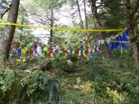 402. Dharamsala - McLeodganj &ndash; &copy; Maria Michel (Eberhardt TRAVEL)