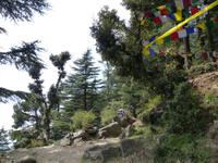 403. Dharamsala - McLeodganj &ndash; &copy; Maria Michel (Eberhardt TRAVEL)