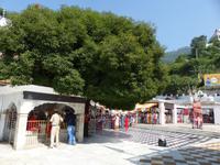 429. Jwalamukhi Tempel &ndash; &copy; Maria Michel (Eberhardt TRAVEL)