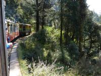 481. Schmalspurbahn Shimla &ndash; &copy; Maria Michel (Eberhardt TRAVEL)