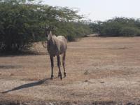 auf der Jeepsafari &ndash; &copy; Michael Krause (Eberhardt TRAVEL)