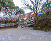Tiger Hill