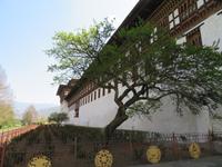 Tashichho Dzong &ndash; &copy; Ngoc Anh Nguyen (Eberhardt TRAVEL)