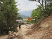 Weg zum Tigernest &ndash; &copy; Ngoc Anh Nguyen (Eberhardt TRAVEL)