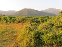 bei Siliguri &ndash; &copy; Jürgen Schmeißer (Eberhardt TRAVEL)