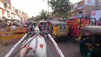 Unterwegs mit dem Pferdebuggy in Jodhpur