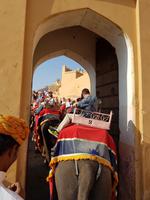 Indien, Amber Fort &ndash; &copy; Ria Heilmann (Eberhardt TRAVEL)