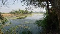 im Keoladeo Nationalpark  &ndash; &copy; Stefan Jahnke (Eberhardt TRAVEL)
