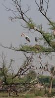 Unterwegs im Keoladeo Nationalpark  &ndash; &copy; Stefan Jahnke (Eberhardt TRAVEL)