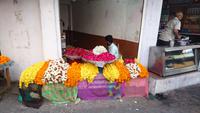 Blumenverkauf in Udaipur &ndash; &copy; Stefan Jahnke (Eberhardt TRAVEL)