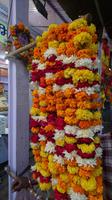 Heilige Blumen &ndash; &copy; Stefan Jahnke (Eberhardt TRAVEL)