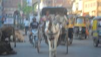 149 Jodhpur - Gruppenfahrt in der Pferdekutsche 1 &ndash; &copy; Michael Krause (Eberhardt TRAVEL)