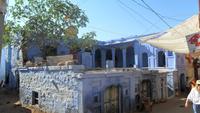 157 Osyan - Lebensweise &ndash; &copy; Michael Krause (Eberhardt TRAVEL)