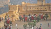 282 Amber Fort - Innenhof mit Elefanten &ndash; &copy; Michael Krause (Eberhardt TRAVEL)