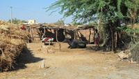 107 Bishnoi-Hof &ndash; &copy; Michael Krause (Eberhardt TRAVEL)