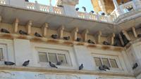 123 Jodhpur - Jaswant Thada Detail &ndash; &copy; Michael Krause (Eberhardt TRAVEL)