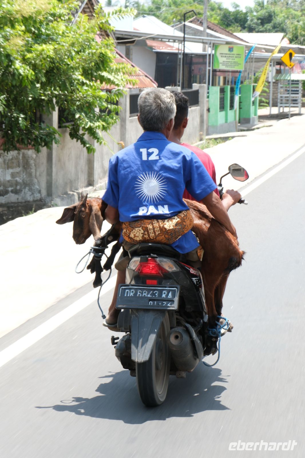 Ziege auf dem Moped, Lombok - Indonesien &ndash; &copy; Sten Bernhardt (Eberhardt TRAVEL)