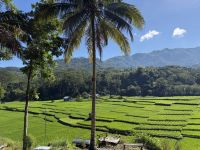 Liang Bua, Flores &ndash; &copy; Sabine Reckord (Eberhardt TRAVEL)