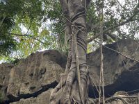 Batu Cermin, Flores &ndash; &copy; Sabine Reckord (Eberhardt TRAVEL)