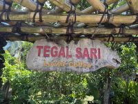 Kaffeeplantage, Bali &ndash; &copy; Sabine Reckord (Eberhardt TRAVEL)