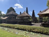 Dewi Sri, Pura Taman Ayun, Mengwi