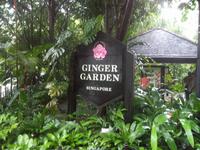 Im Orchideengarten von Singapur  &ndash; &copy; Michael Krause (Eberhardt TRAVEL)